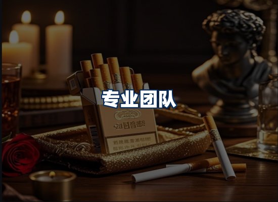 专业团队